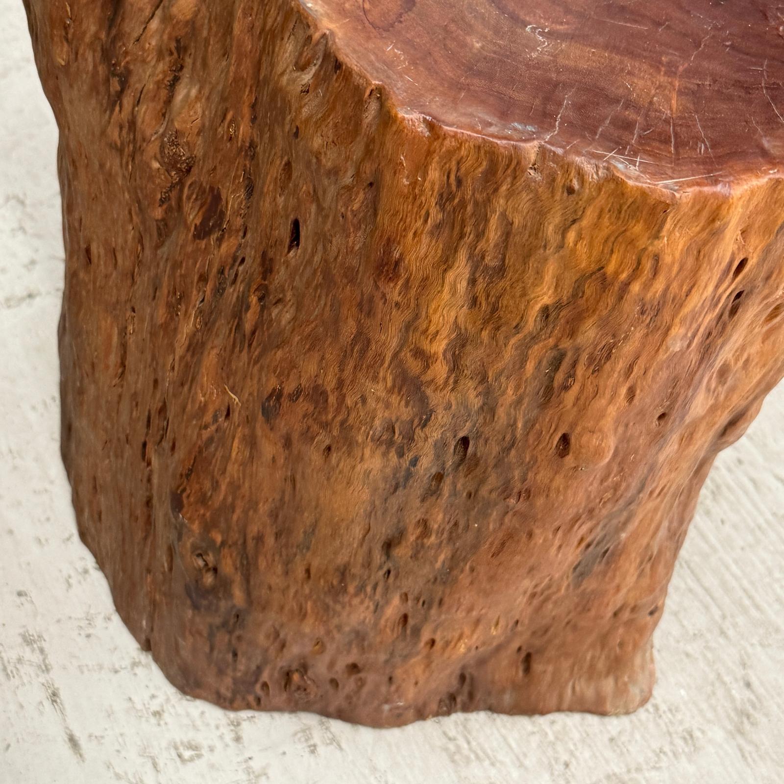 Warm Honey Brown Free-Form Tree Trunk Side Pedestal Table - FEA Home
