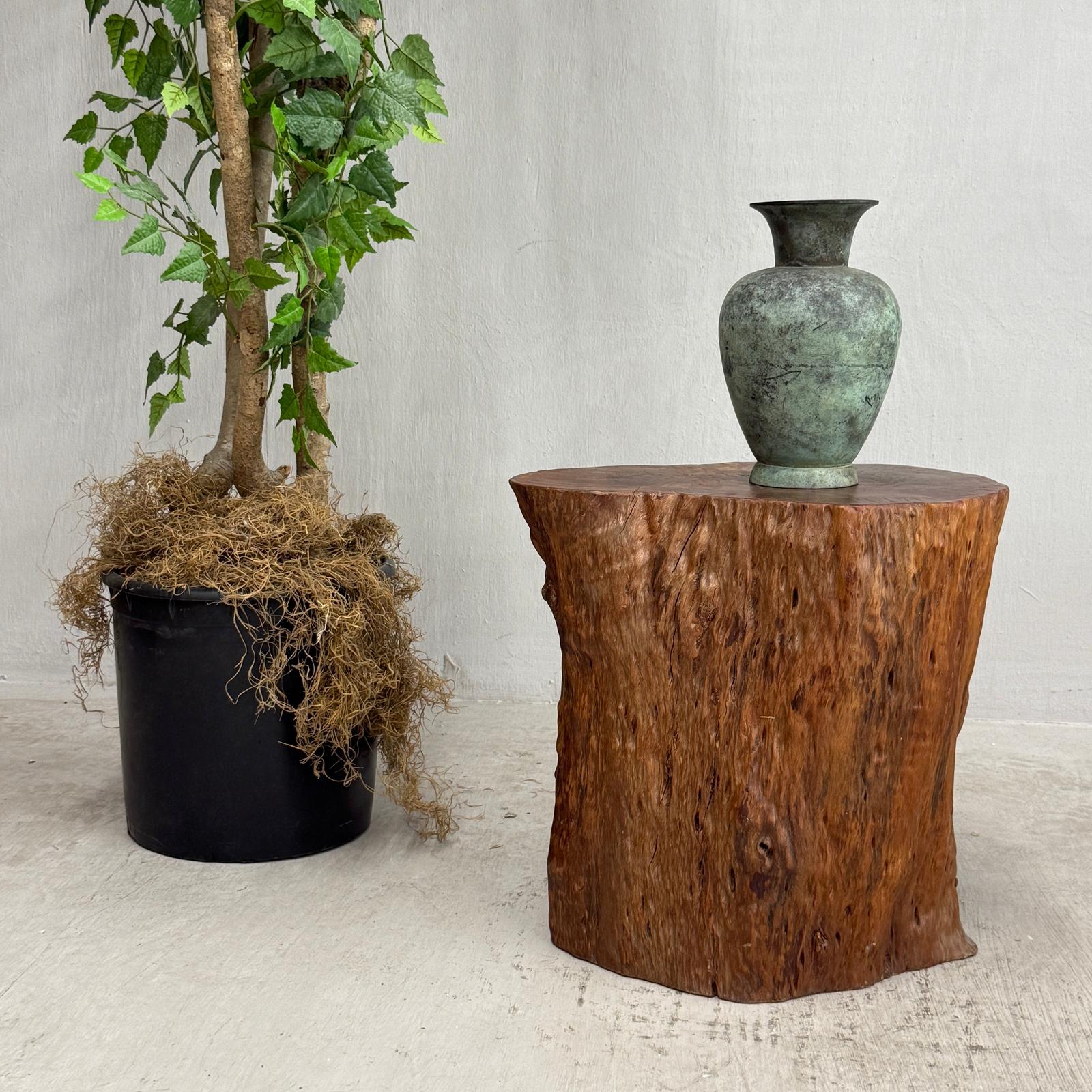 Warm Honey Brown Free-Form Tree Trunk Side Pedestal Table - FEA Home