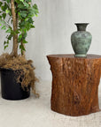 Warm Honey Brown Free-Form Tree Trunk Side Pedestal Table - FEA Home