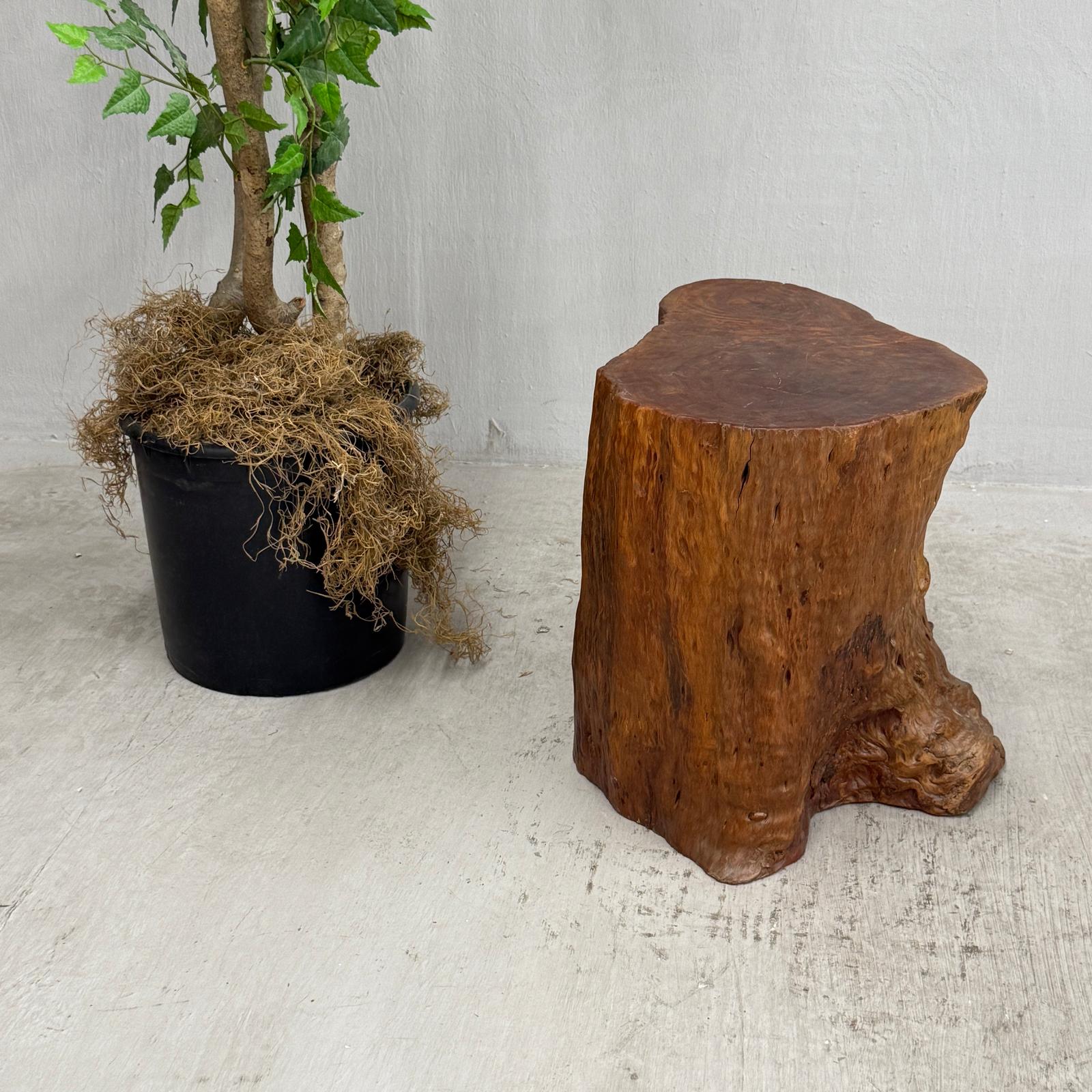 Warm Honey Brown Free-Form Tree Trunk Side Pedestal Table - FEA Home