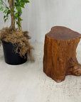 Warm Honey Brown Free-Form Tree Trunk Side Pedestal Table - FEA Home