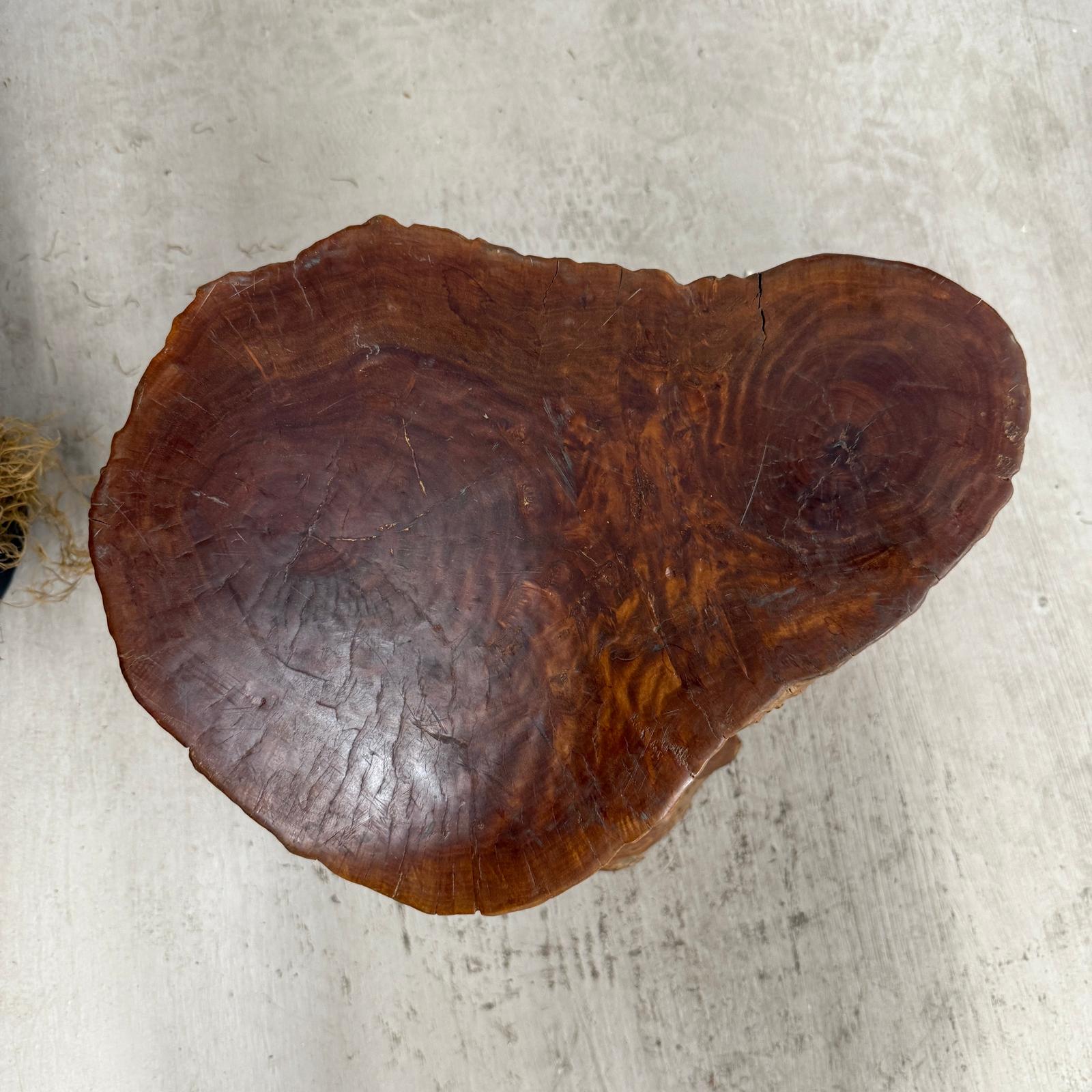 Warm Honey Brown Free-Form Tree Trunk Side Pedestal Table - FEA Home