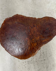Warm Honey Brown Free-Form Tree Trunk Side Pedestal Table - FEA Home