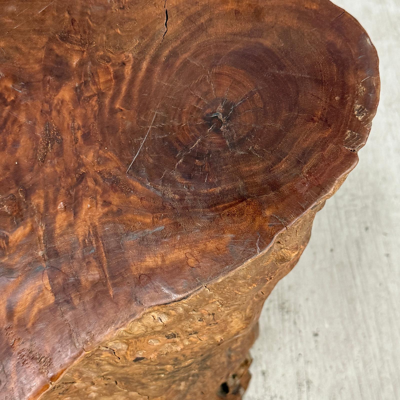 Warm Honey Brown Free-Form Tree Trunk Side Pedestal Table - FEA Home