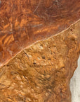 Warm Honey Brown Free-Form Tree Trunk Side Pedestal Table - FEA Home