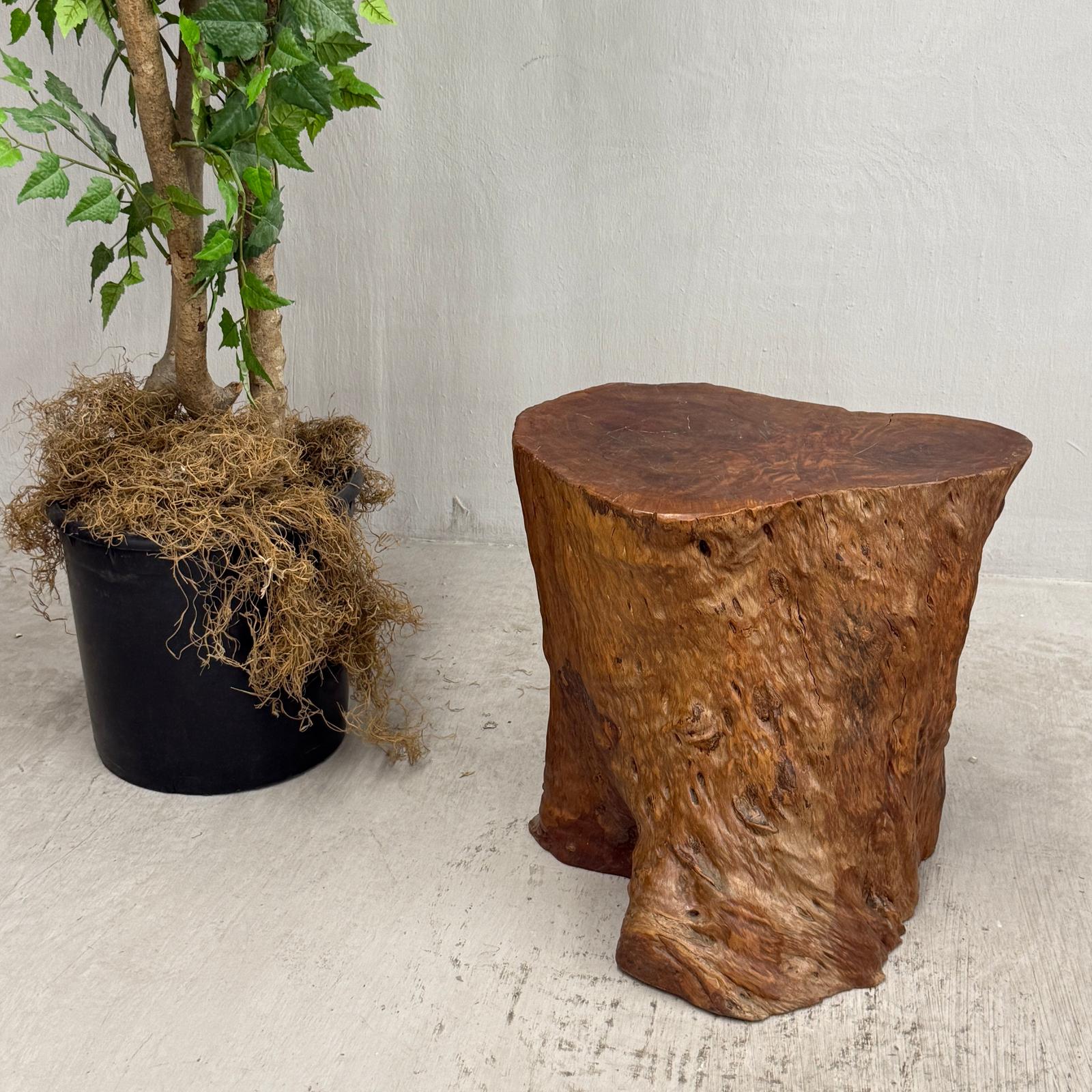 Warm Honey Brown Free-Form Tree Trunk Side Pedestal Table - FEA Home
