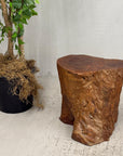 Warm Honey Brown Free-Form Tree Trunk Side Pedestal Table - FEA Home
