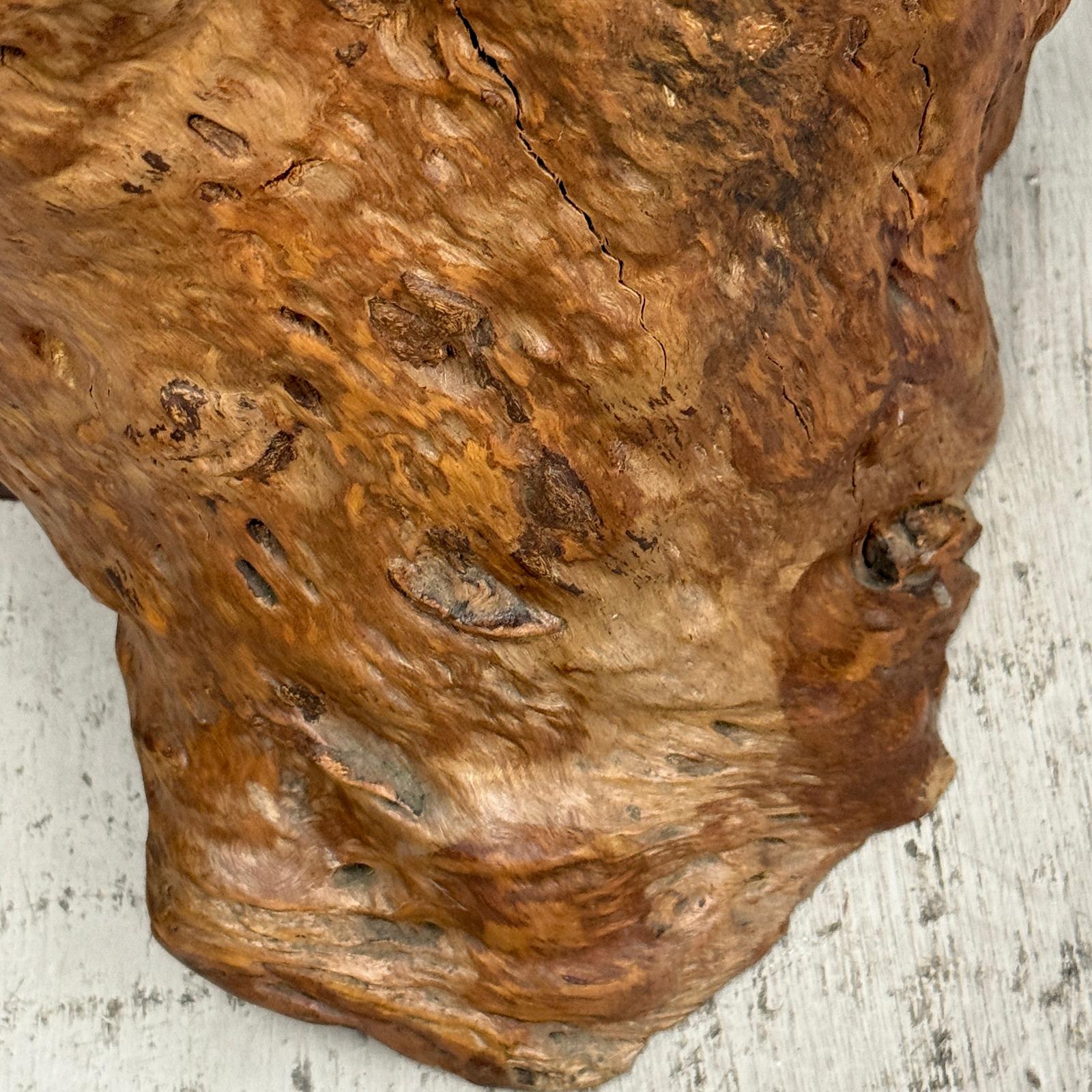 Warm Honey Brown Free-Form Tree Trunk Side Pedestal Table - FEA Home
