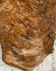 Warm Honey Brown Free-Form Tree Trunk Side Pedestal Table - FEA Home