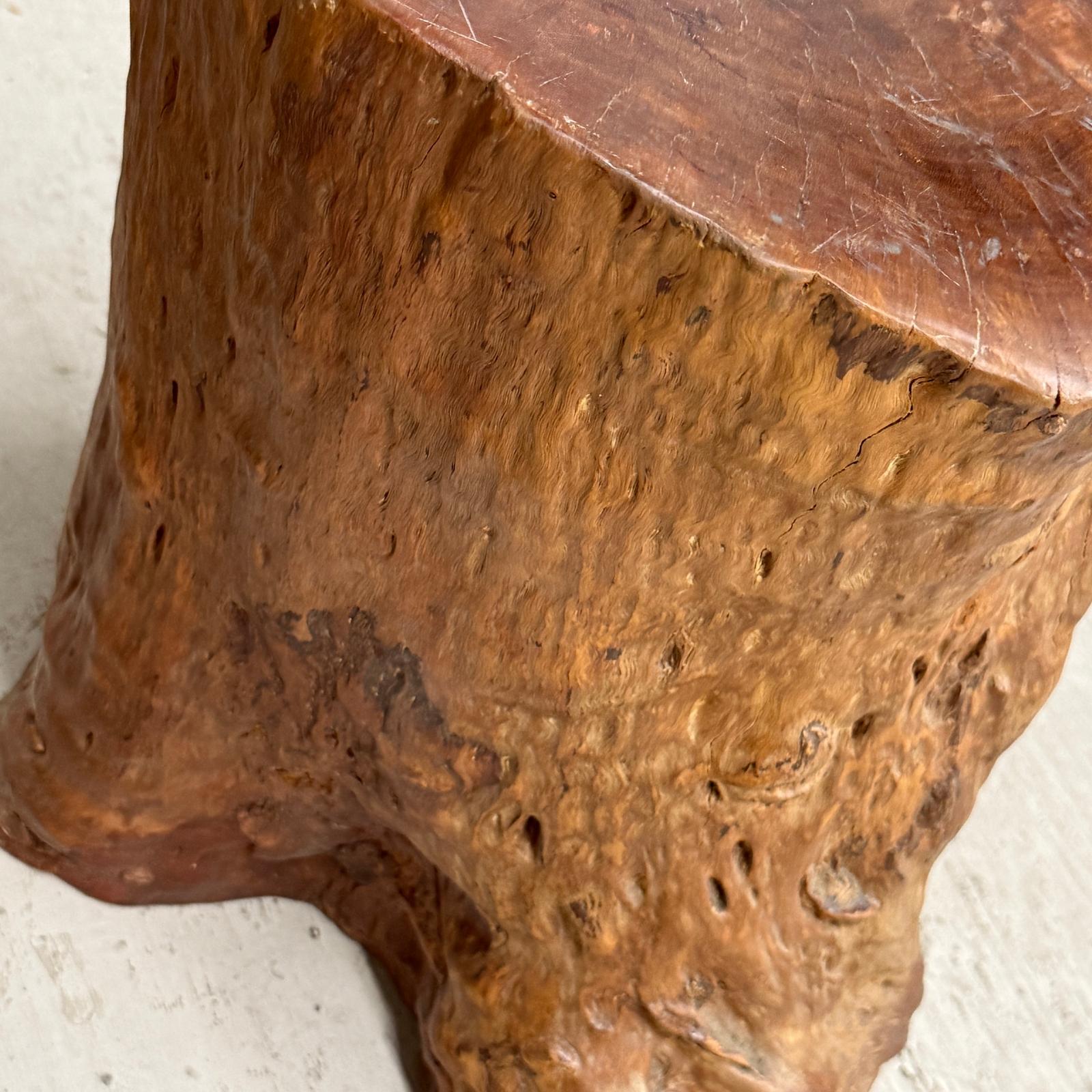 Warm Honey Brown Free-Form Tree Trunk Side Pedestal Table - FEA Home