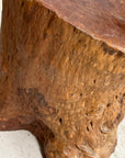 Warm Honey Brown Free-Form Tree Trunk Side Pedestal Table - FEA Home