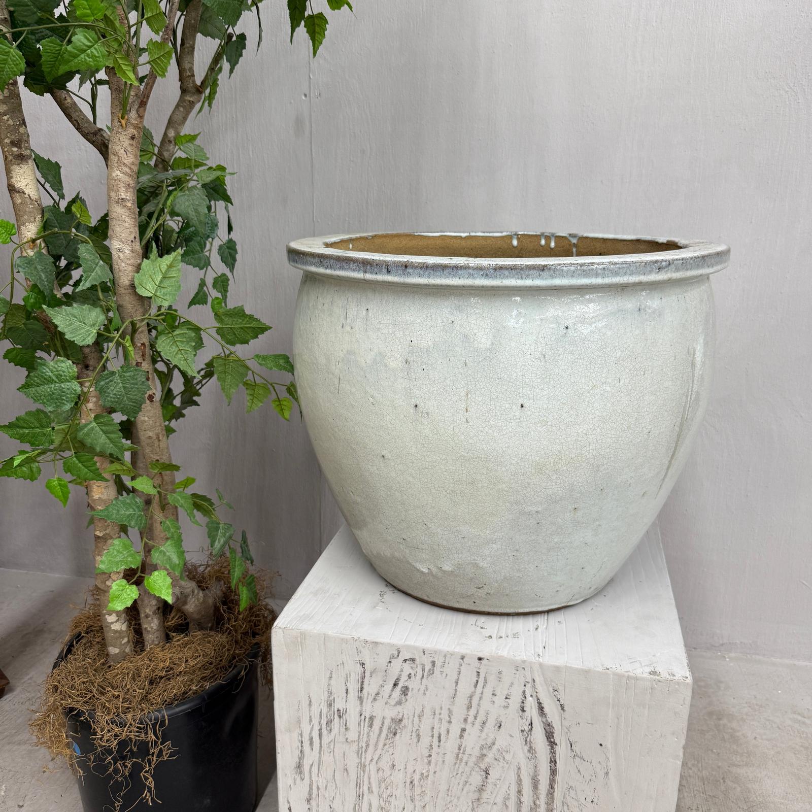 White Glazed Round Ceramic Planter with Wide Opening - FEA Home