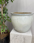 White Glazed Round Ceramic Planter with Wide Opening - FEA Home