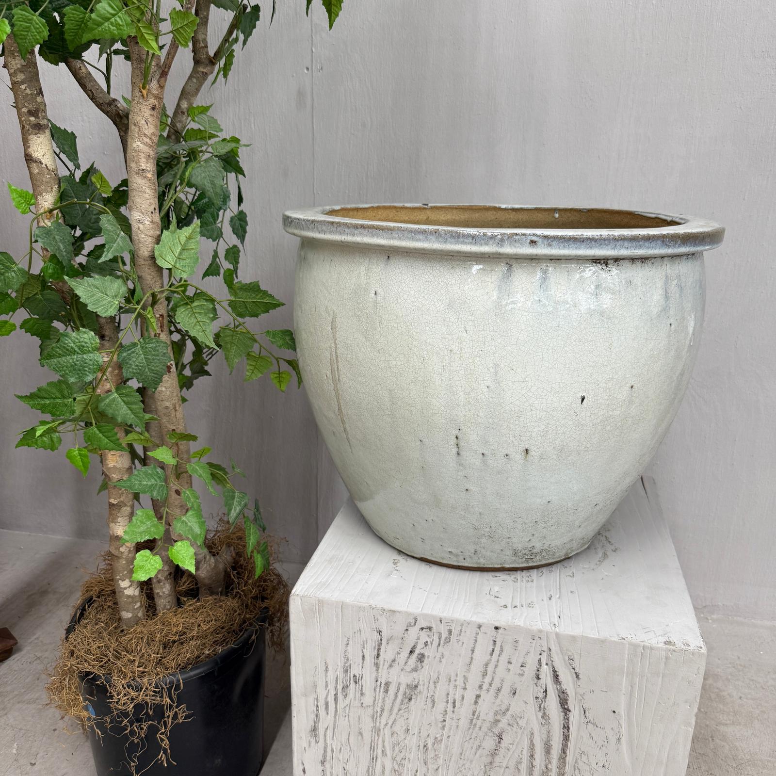 White Glazed Round Ceramic Planter with Wide Opening - FEA Home