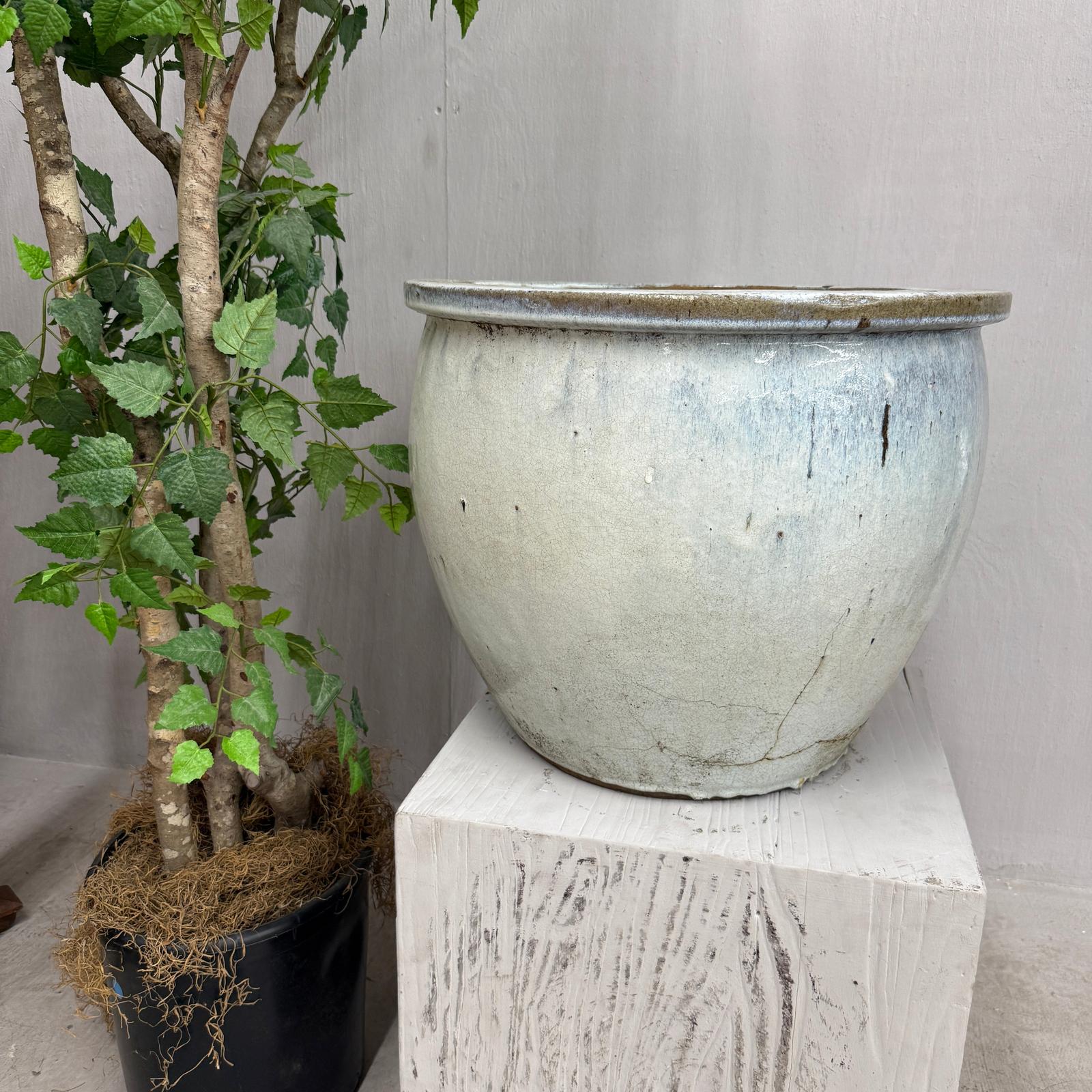 White Glazed Round Ceramic Planter with Wide Opening - FEA Home
