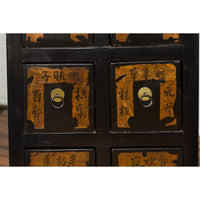 Pair of Chinese Qing Dynasty Black Lacquer Apothecary Cabinets with Calligraphy