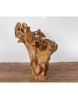 Vintage Chinese Hand Crafted Camphor Wood Root Chair with Light Varnish-14. Asian & Chinese Furniture, Art, Antiques, Vintage Home Décor for sale at FEA Home