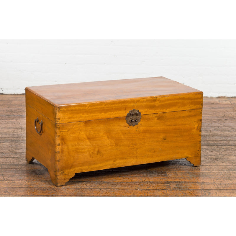 Chinese Vintage Camphor Wood Blanket Chest with Brass Hardware-6. Asian & Chinese Furniture, Art, Antiques, Vintage Home Décor for sale at FEA Home