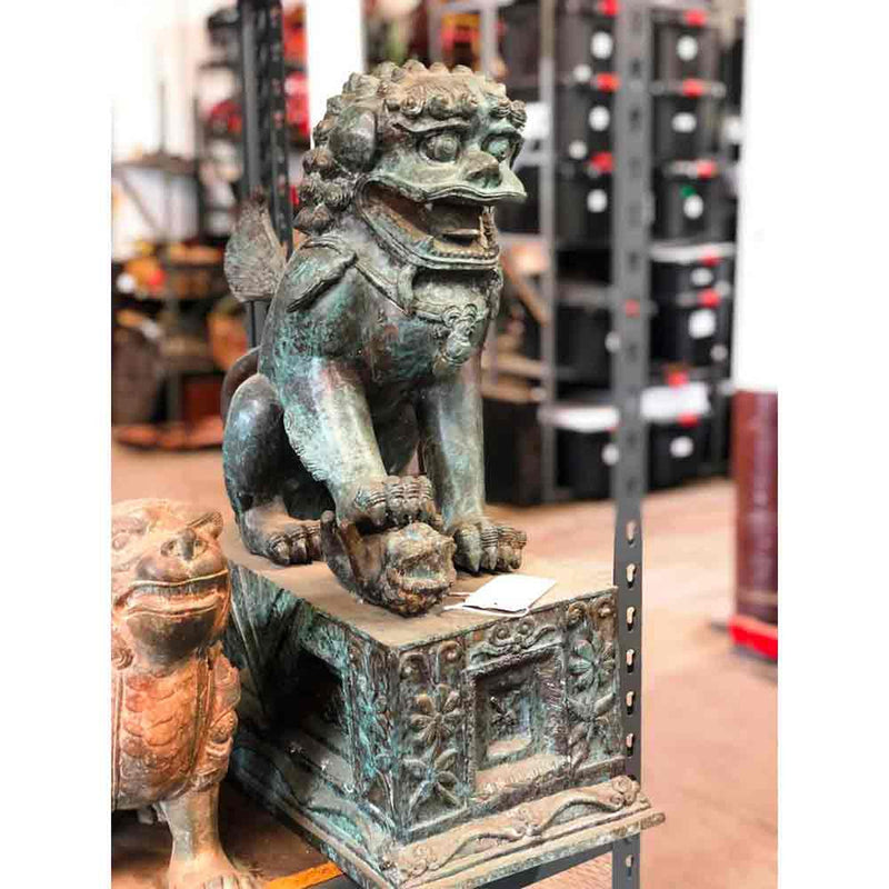 Guardian Lion Foo Dog Statue-YN7552-2. Asian & Chinese Furniture, Art, Antiques, Vintage Home Décor for sale at FEA Home