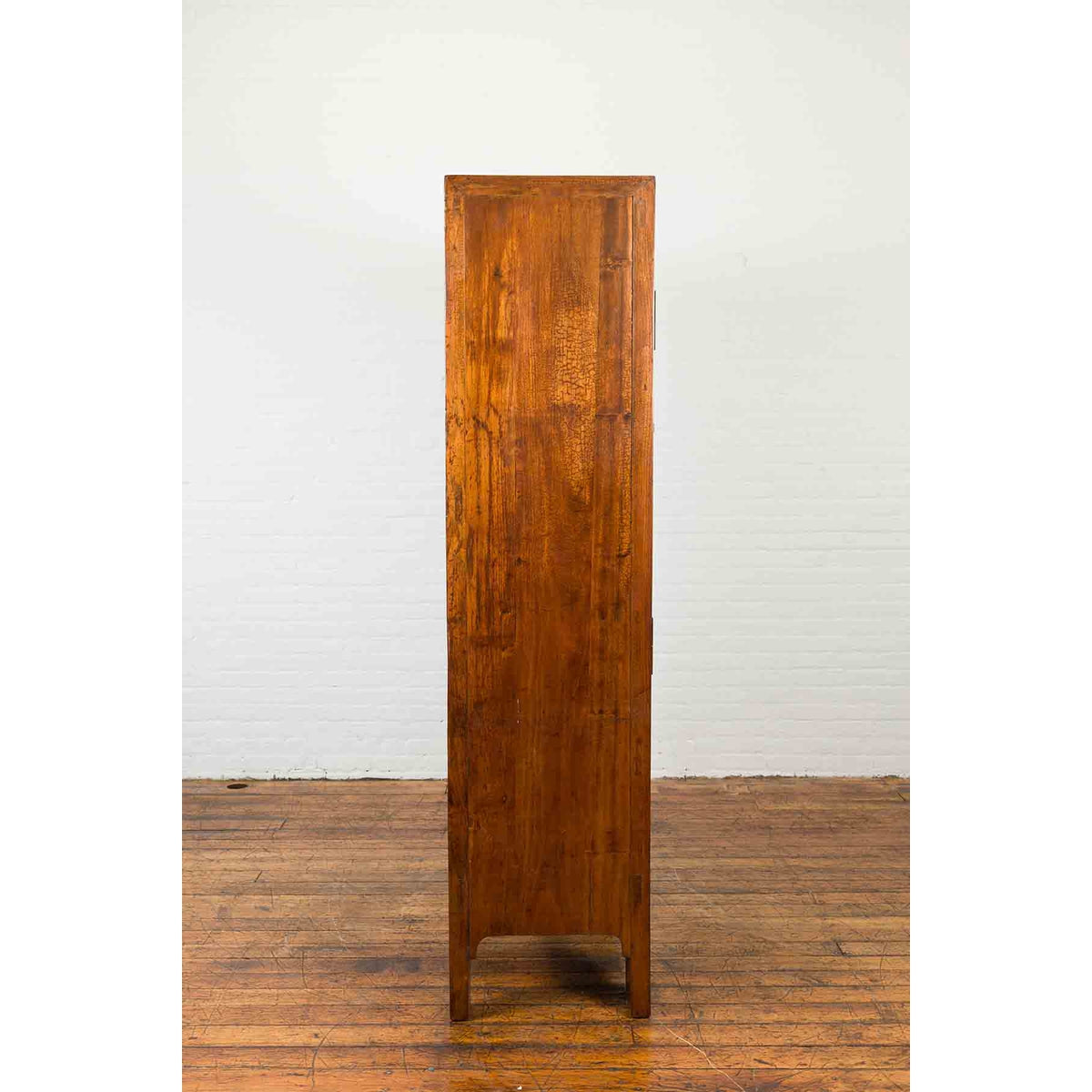 Chinese Qing Dynasty 19th Century Nicely Grained Cabinet with Medallion Lock-10. Asian &amp; Chinese Furniture, Art, Antiques, Vintage Home Décor for sale at FEA Home