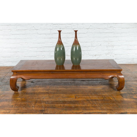 Chinese Qing Dynasty 19th Century Coffee Table with Chow Legs and Carved Apron-3. Asian & Chinese Furniture, Art, Antiques, Vintage Home Décor for sale at FEA Home
