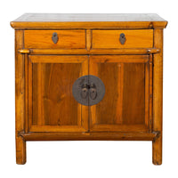 Chinese Early 20th Century Elmwood Side Chest with Bronze Medallion Hardware