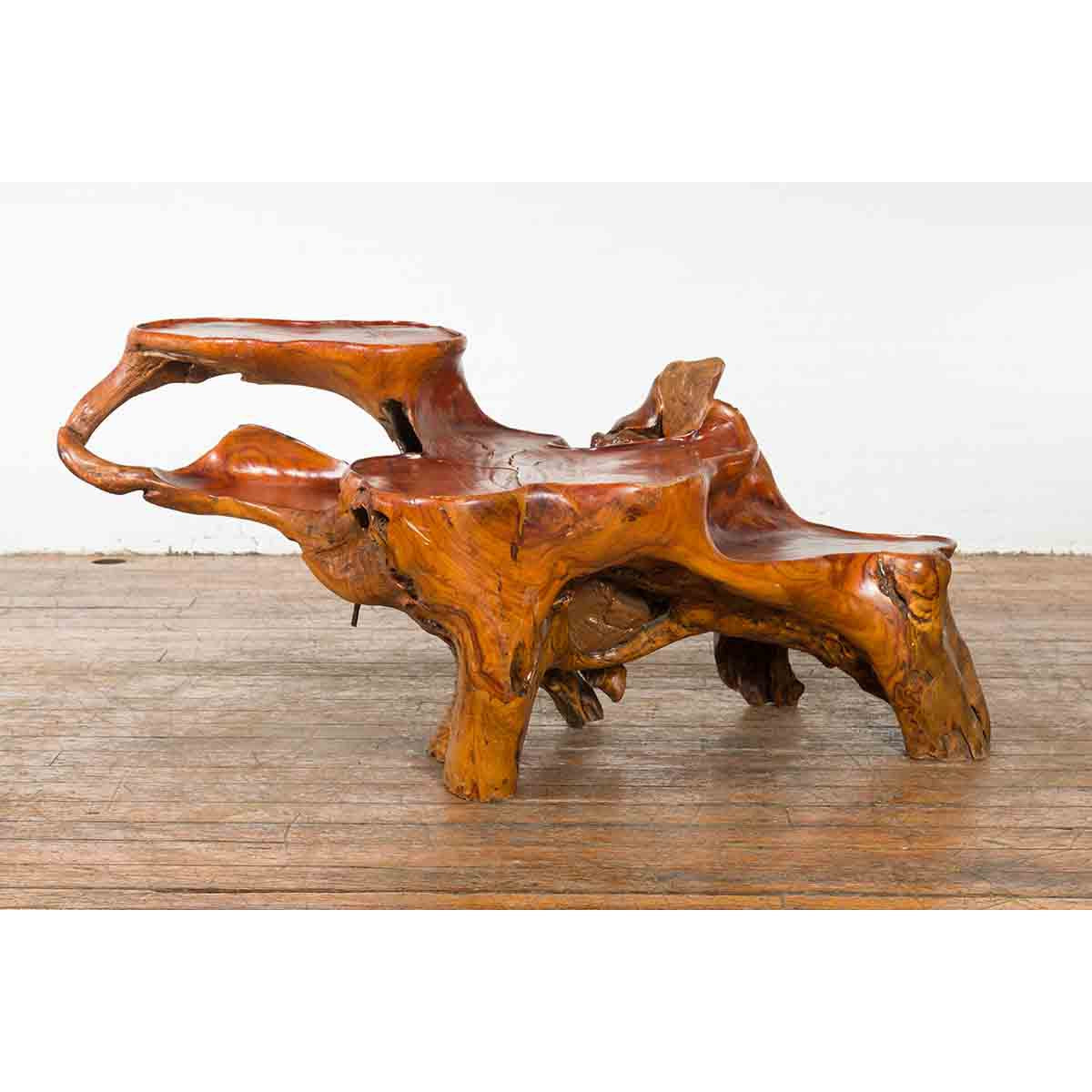 Indonesian 20th Century Lacquered Root Stand-2. Asian & Chinese Furniture, Art, Antiques, Vintage Home Décor for sale at FEA Home