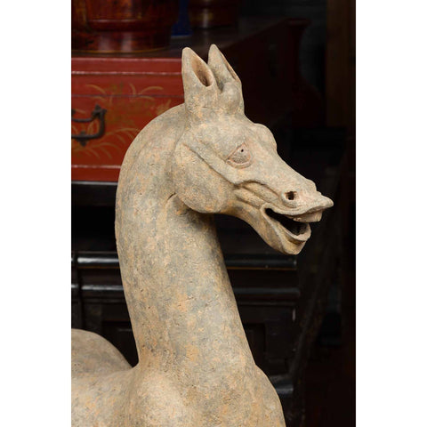 Large Chinese Han Dynasty Period Terracotta Walking Horse, circa 202 BC-200 AD-YN5555-12. Asian & Chinese Furniture, Art, Antiques, Vintage Home Décor for sale at FEA Home