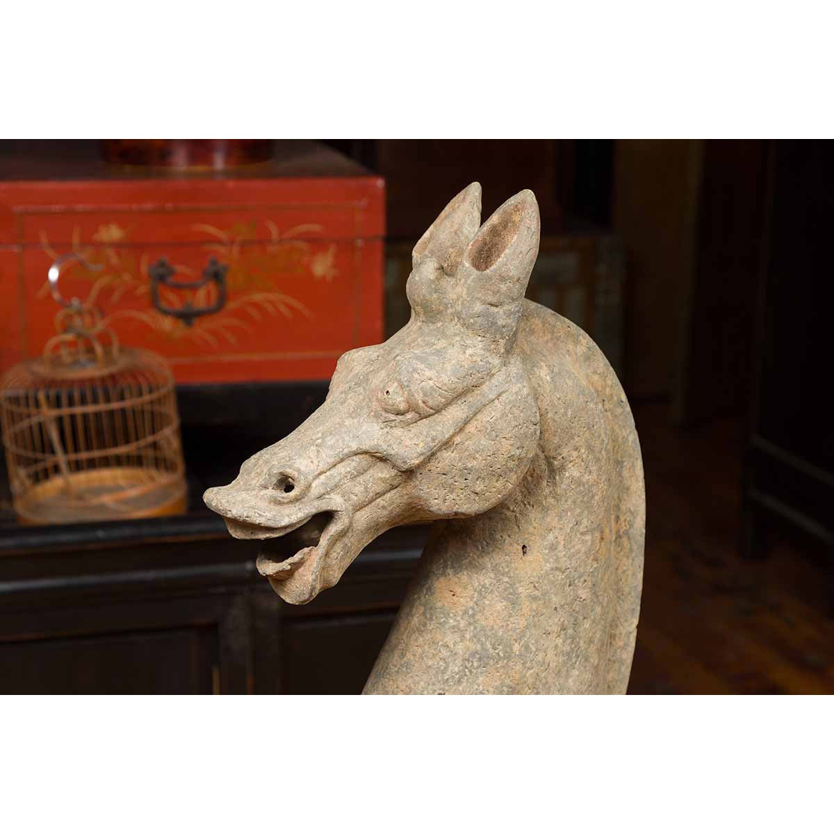 Large Chinese Han Dynasty Period Terracotta Walking Horse, circa 202 BC-200 AD-4. Asian &amp; Chinese Furniture, Art, Antiques, Vintage Home Décor for sale at FEA Home