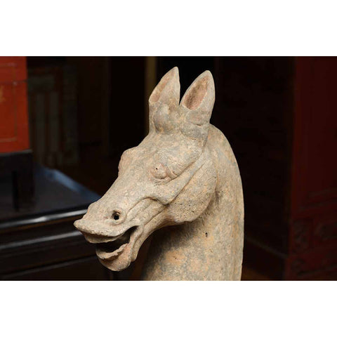 Large Chinese Han Dynasty Period Terracotta Walking Horse, circa 202 BC-200 AD-YN5555-6. Asian & Chinese Furniture, Art, Antiques, Vintage Home Décor for sale at FEA Home