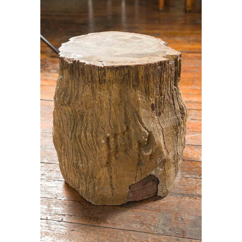 Antique Petrified Wood Tree Stump Drinks Table or Stool Covered in Gesso