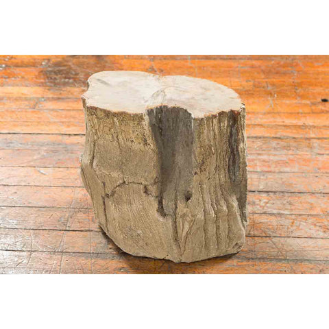 Antique Petrified Wood Tree Stump Drinks Table or Stool Covered in Gesso