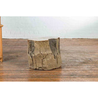 Antique Petrified Wood Tree Stump Drinks Table or Stool Covered in Gesso