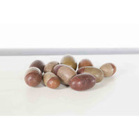 Ten Small Loose and Assorted Shiva Lingam Stones from the Narmada River