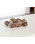 Ten Small Loose and Assorted Shiva Lingam Stones from the Narmada River-6. Asian & Chinese Furniture, Art, Antiques, Vintage Home Décor for sale at FEA Home