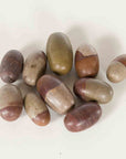 Ten Small Loose and Assorted Shiva Lingam Stones from the Narmada River-2. Asian & Chinese Furniture, Art, Antiques, Vintage Home Décor for sale at FEA Home