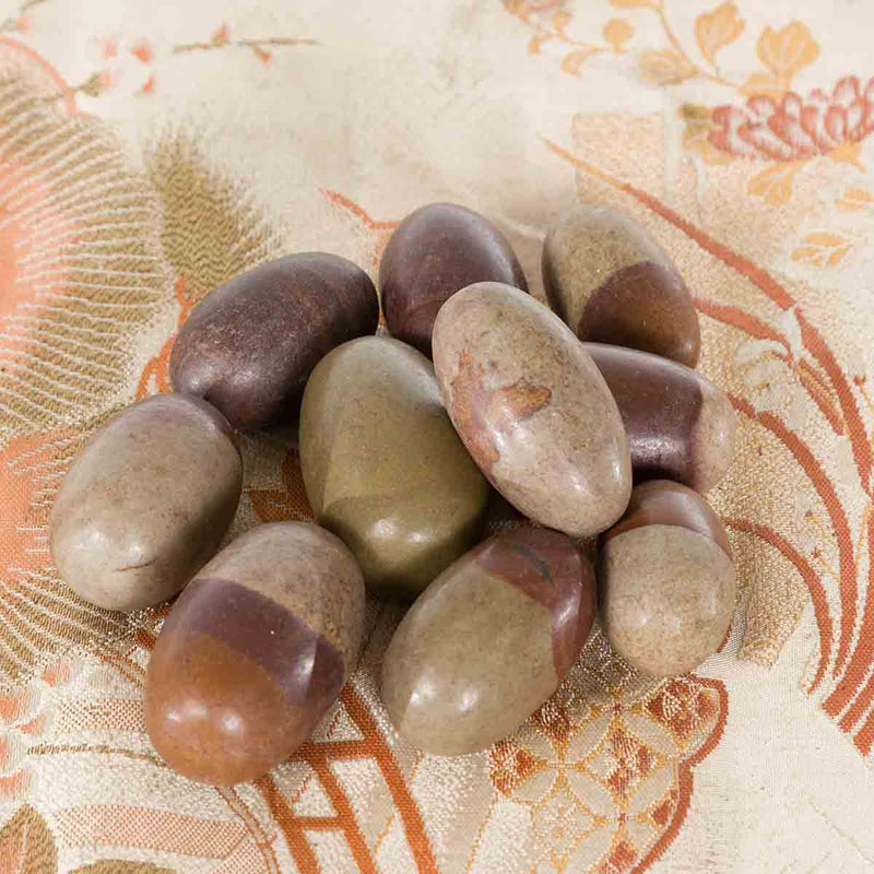 Ten Small Loose and Assorted Shiva Lingam Stones from the Narmada River-YN7327-7. Asian & Chinese Furniture, Art, Antiques, Vintage Home Décor for sale at FEA Home