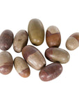 Ten Small Loose and Assorted Shiva Lingam Stones from the Narmada River-1. Asian & Chinese Furniture, Art, Antiques, Vintage Home Décor for sale at FEA Home