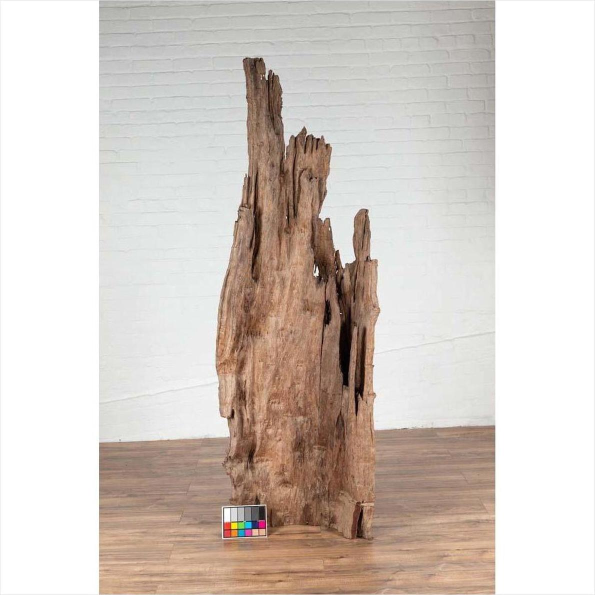 Brown driftwood carving from Northern Thailand on wooden floor, inspired by Chiang Mai local decor.
