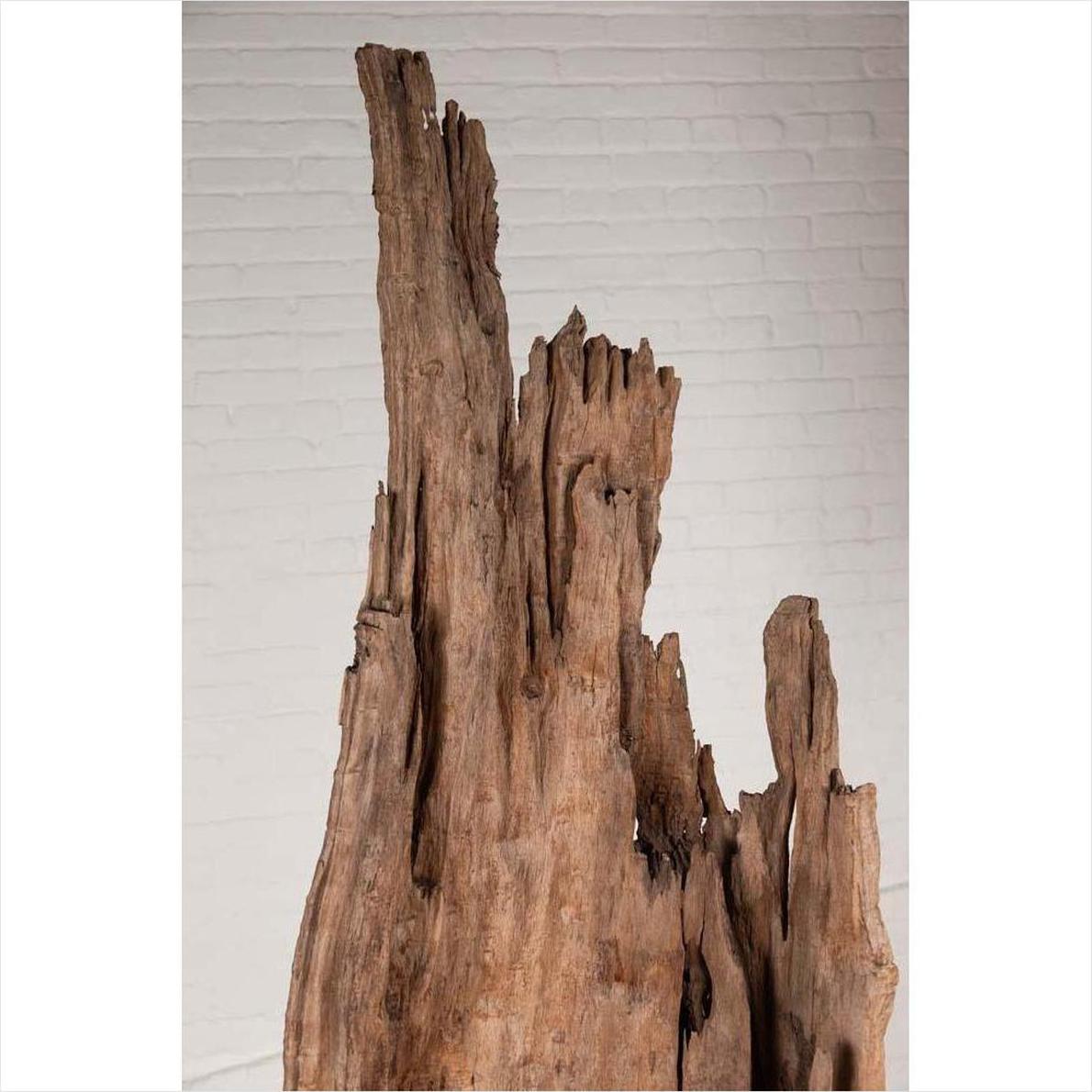 Ancient Driftwood Carving from Northern Thailand Found in the Chiang Mai Region-6. Asian &amp; Chinese Furniture, Art, Antiques, Vintage Home Décor for sale at FEA Home
