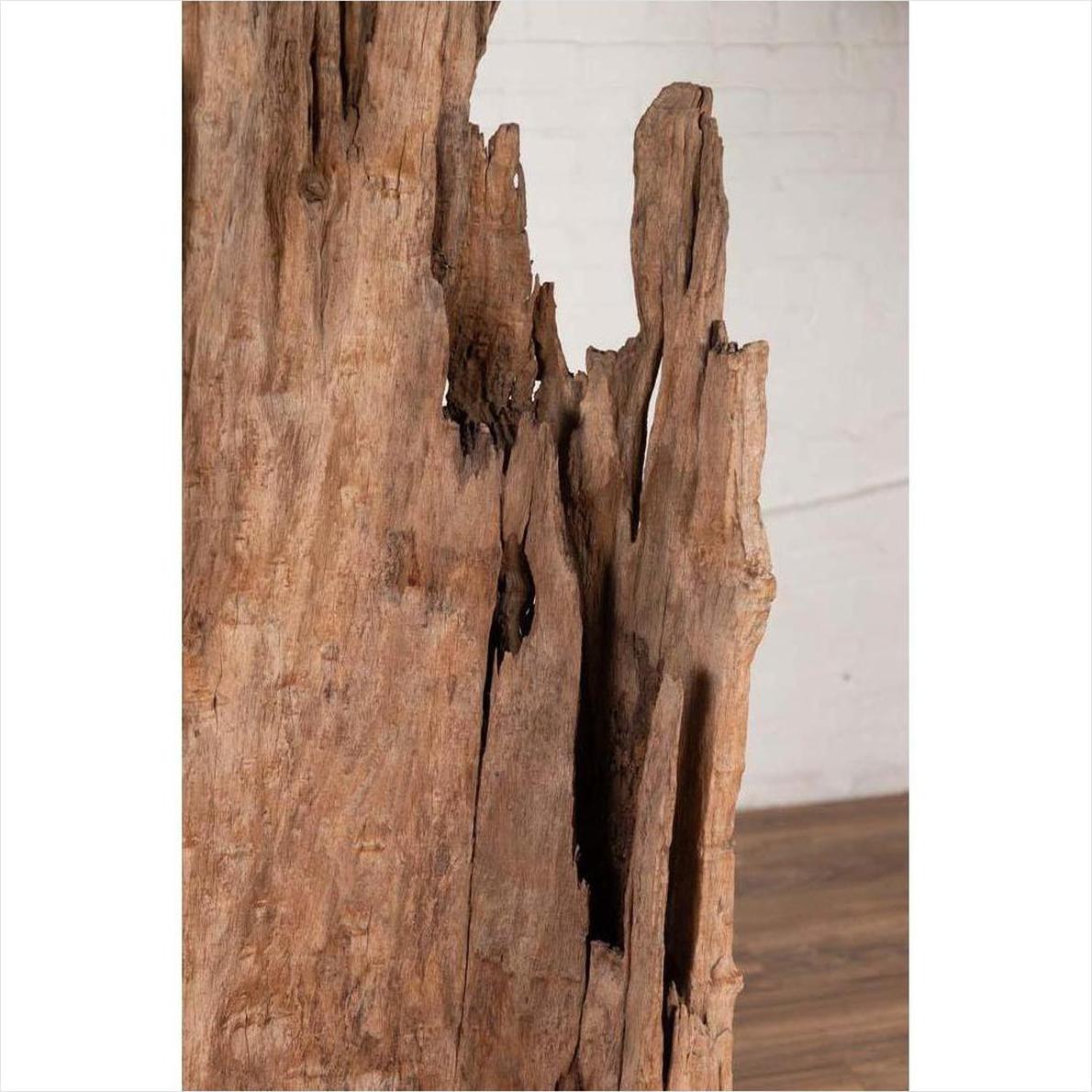 Ancient Driftwood Carving from Northern Thailand Found in the Chiang Mai Region-7. Asian &amp; Chinese Furniture, Art, Antiques, Vintage Home Décor for sale at FEA Home