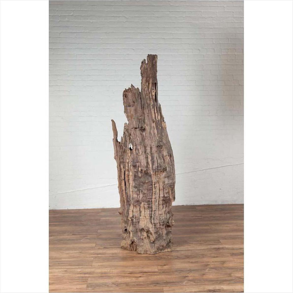 Ancient Driftwood Carving from Northern Thailand Found in the Chiang Mai Region-10. Asian &amp; Chinese Furniture, Art, Antiques, Vintage Home Décor for sale at FEA Home