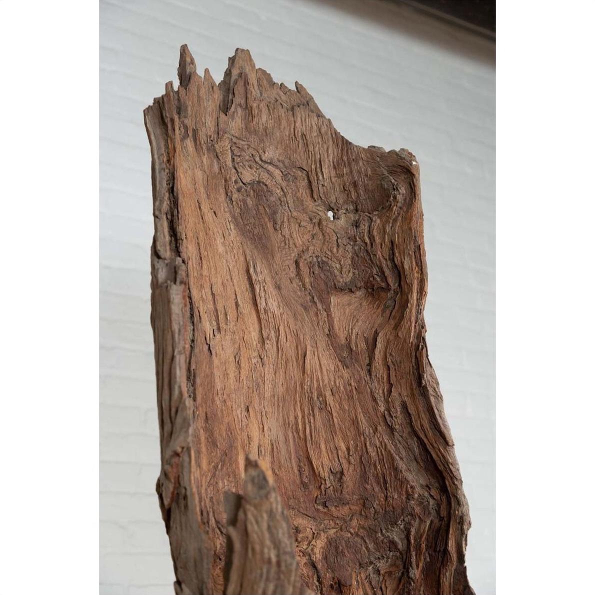 Close-up of brown driftwood carving from Chiang Mai, Thailand, rough texture, indoors against white brick wall.
