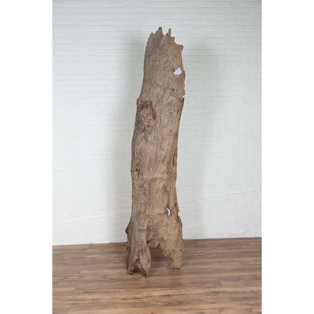 Brown driftwood carving from Northern Thailand, carved wood detail, photographed indoors in Chiang Mai.