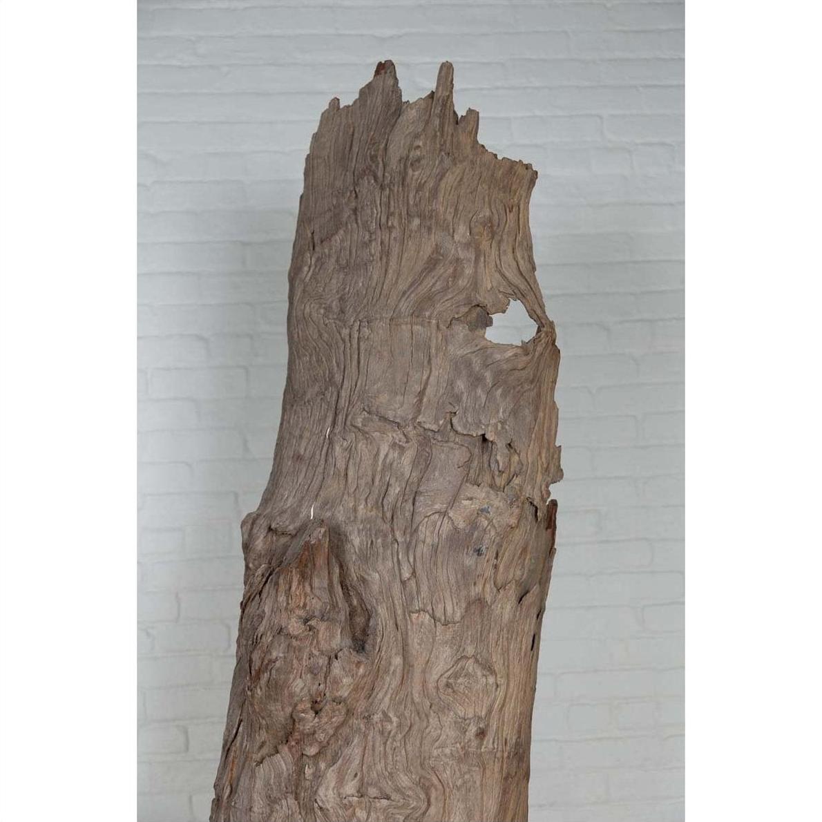 Brown driftwood carving from Northern Thailand on weathered tree trunk with light gray brick wall background.