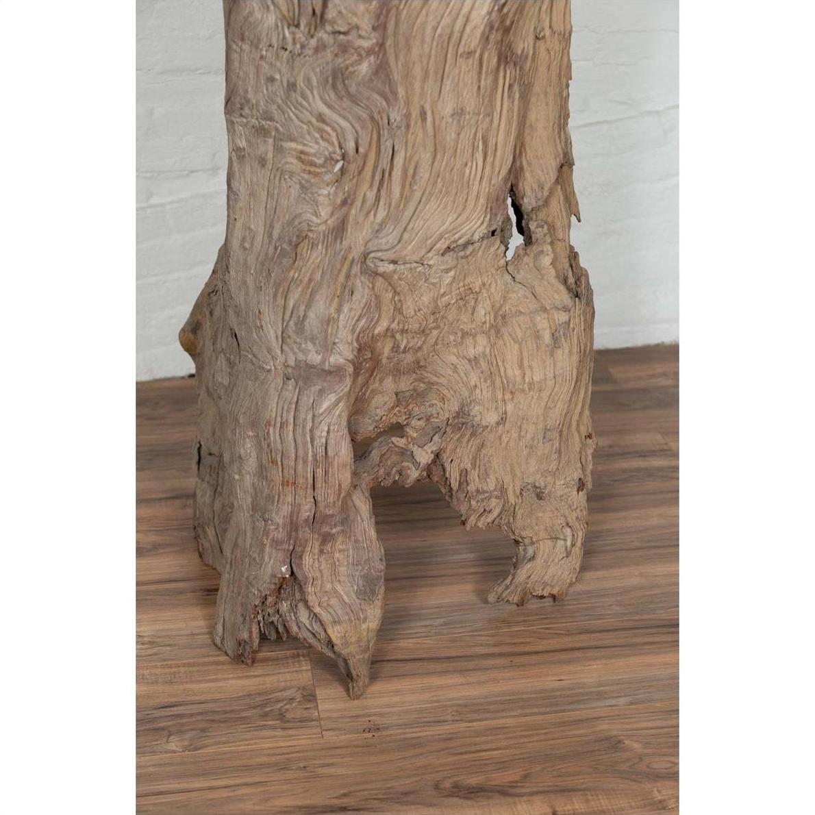 Brown driftwood carving on wood floor against white brick wall, rustic decor indoors, Chiang Mai origin.