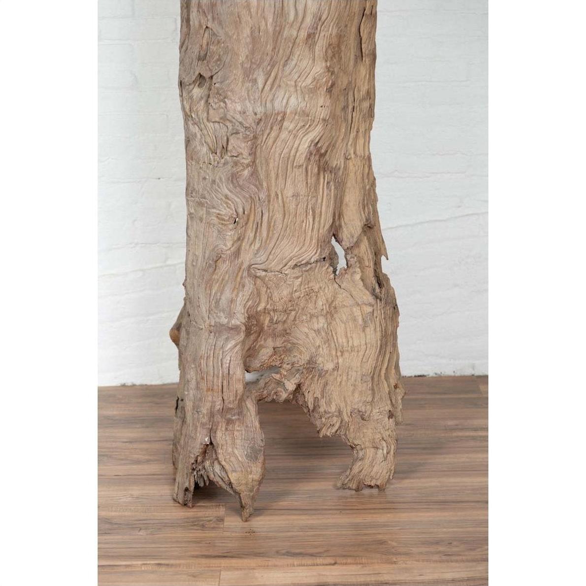 Brown driftwood carving on wooden floor, white brick wall background, Chiang Mai Thailand, indoor setting.