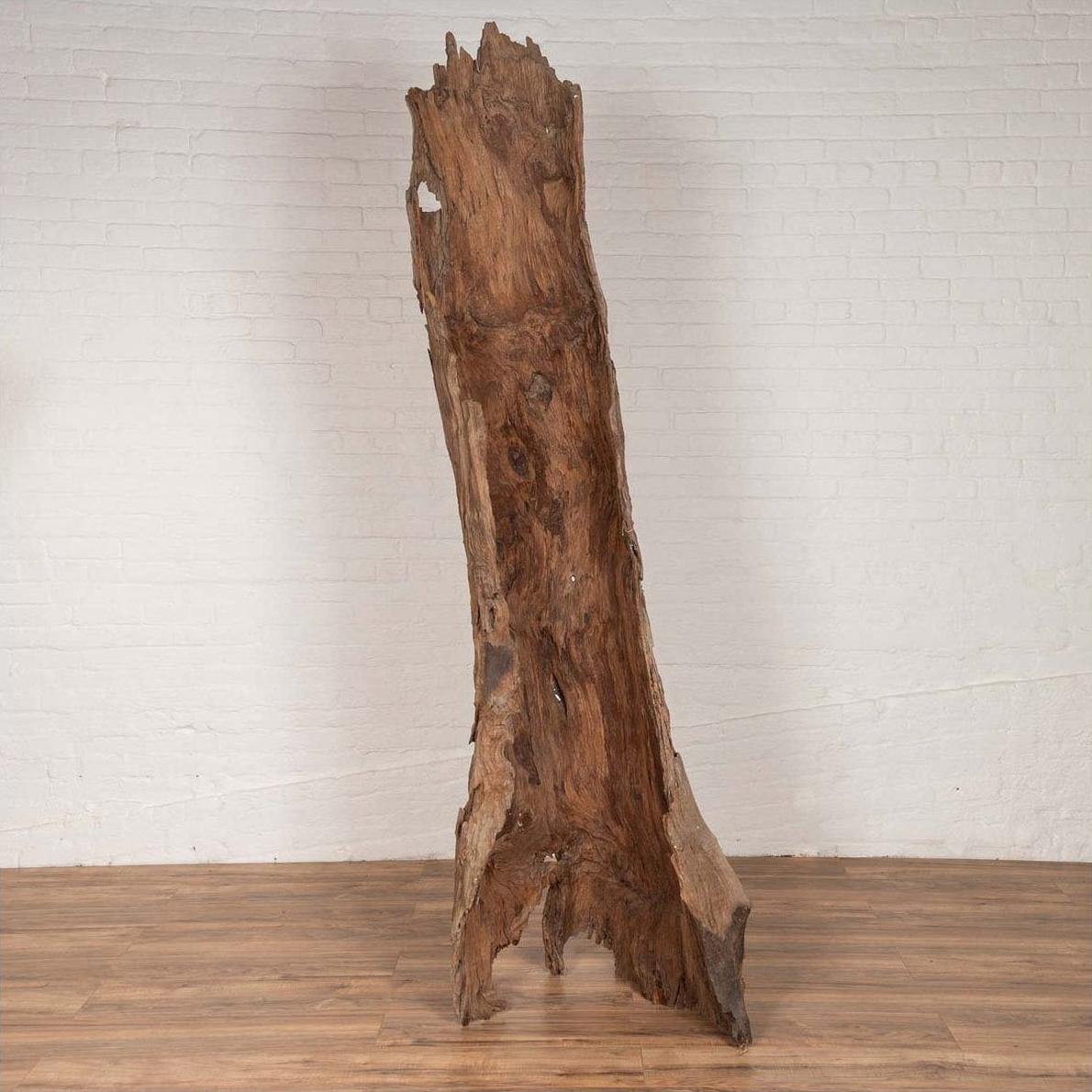 Brown driftwood carving, wood material, displayed on wooden floor with white brick wall in background, indoor setting.