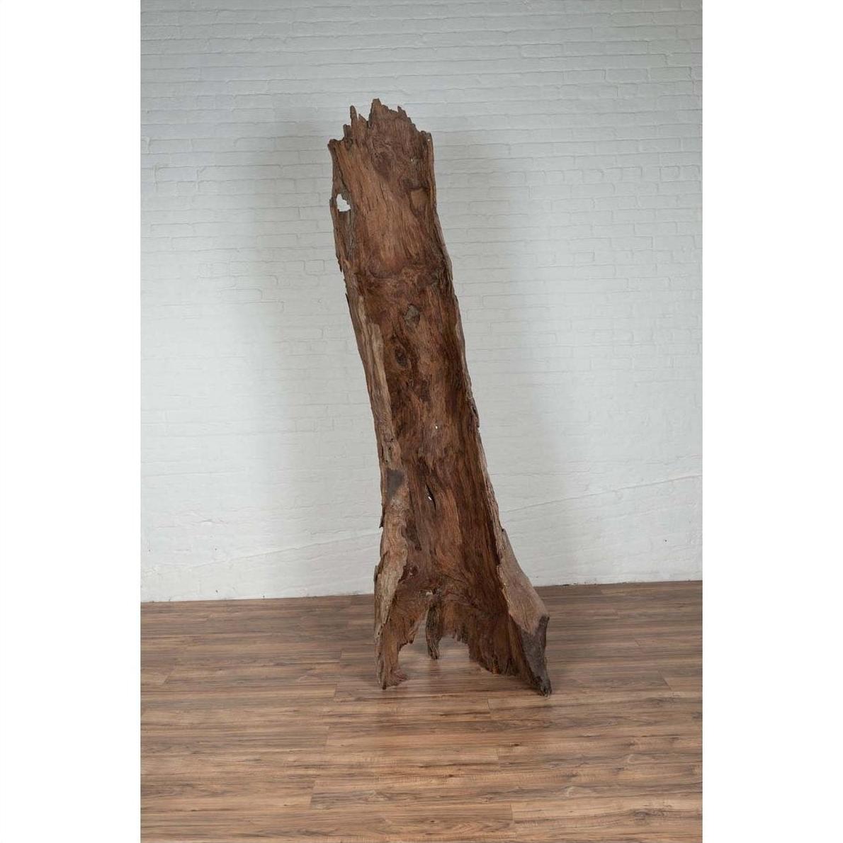 Brown driftwood carving sculpture on wooden floor, Northern Thailand style decor, indoor setting.
