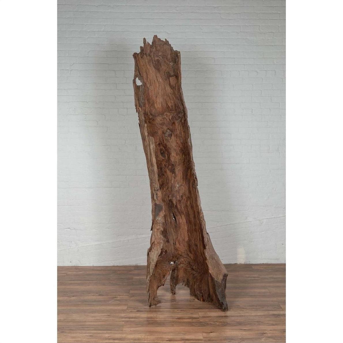Brown driftwood carving, wood material, on wooden floor with white brick wall background, indoor setting.